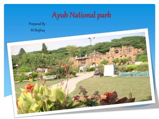 Ayub National park
Prepared By :
M Shafeeq
 