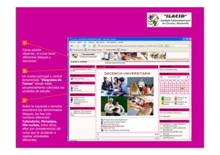 Ayuda A Participante