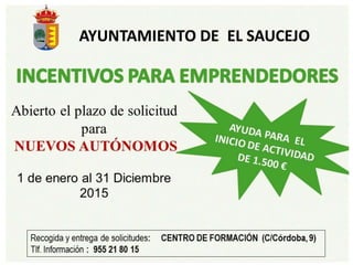 Ayuda a emprendedores