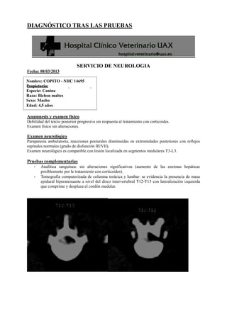 Nombre: COPITO - NHC 14695
Propietario: Alfonsa Asperilla Calleja
Especie: Canina
Raza: Bichon maltes
Sexo: Macho
Edad: 4,5 años
DIAGNÓSTICO TRAS LAS PRUEBAS
SERVICIO DE NEUROLOGIA
Fecha: 08/03/2013
Anamnesis y examen físico
Debilidad del tercio posterior progresiva sin respuesta al tratamiento con corticoides.
Examen físico sin alteraciones.
Examen neurológico
Paraparesia ambulatoria, reacciones posturales disminuidas en extremidades posteriores con reflejos
espinales normales (grado de disfunción III/VII).
Examen neurológico es compatible con lesión localizada en segmentos medulares T3-L3.
Pruebas complementarias
- Analítica sanguínea: sin alteraciones significativas (aumento de las enzimas hepáticas
posiblemente por le tratamiento con corticoides).
- Tomografía computerizada de columna torácica y lumbar: se evidencia la presencia de masa
epidural hiperatenuante a nivel del disco intervertebral T12-T13 con lateralización izquierda
que comprime y desplaza el cordón medular.
 