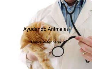 Ayudando Animales

  Clínica Veterinaria
 