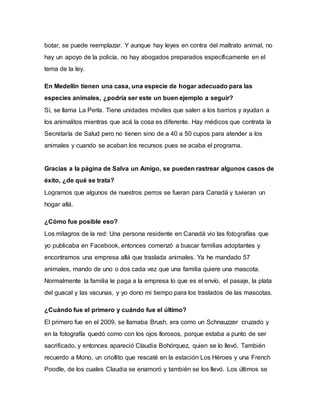 botar, se puede reemplazar. Y aunque hay leyes en contra del maltrato animal, no
hay un apoyo de la policía, no hay abogados preparados específicamente en el
tema de la ley.
En Medellín tienen una casa, una especie de hogar adecuado para las
especies animales, ¿podría ser este un buen ejemplo a seguir?
Sí, se llama La Perla. Tiene unidades móviles que salen a los barrios y ayudan a
los animalitos mientras que acá la cosa es diferente. Hay médicos que contrata la
Secretaría de Salud pero no tienen sino de a 40 a 50 cupos para atender a los
animales y cuando se acaban los recursos pues se acaba el programa.
Gracias a la página de Salva un Amigo, se pueden rastrear algunos casos de
éxito, ¿de qué se trata?
Logramos que algunos de nuestros perros se fueran para Canadá y tuvieran un
hogar allá.
¿Cómo fue posible eso?
Los milagros de la red: Una persona residente en Canadá vio las fotografías que
yo publicaba en Facebook, entonces comenzó a buscar familias adoptantes y
encontramos una empresa allá que traslada animales. Ya he mandado 57
animales, mando de uno o dos cada vez que una familia quiere una mascota.
Normalmente la familia le paga a la empresa lo que es el envío, el pasaje, la plata
del guacal y las vacunas, y yo dono mi tiempo para los traslados de las mascotas.
¿Cuándo fue el primero y cuándo fue el último?
El primero fue en el 2009, se llamaba Brush, era como un Schnauzzer cruzado y
en la fotografía quedó como con los ojos llorosos, porque estaba a punto de ser
sacrificado, y entonces apareció Claudia Bohórquez, quien se lo llevó. También
recuerdo a Mono, un criollito que rescaté en la estación Los Héroes y una French
Poodle, de los cuales Claudia se enamoró y también se los llevó. Los últimos se
 