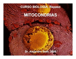 CURSO BIOLOGÍA, Repaso

 MITOCONDRIAS




  Dr. Alejandro Roth. 2009
 