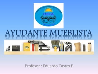 Profesor : Eduardo Castro P.
 