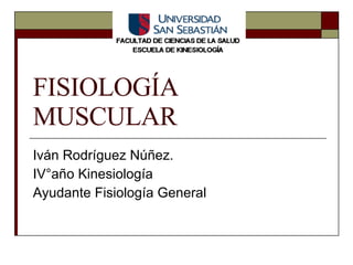 Iván Rodríguez Núñez. IV°año Kinesiología Ayudante Fisiología General FISIOLOGÍA MUSCULAR 