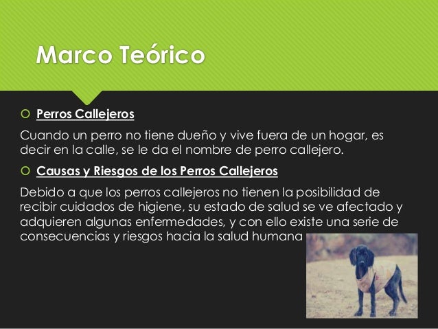 ¡Ayudar está de perros!