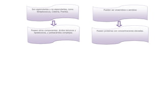 Son esporulantes y no esporulantes, como
Streptococcus, Cisteria, Frankia.

Poseen otros componentes: ácidos teicoicos y
lipoteicoicos, y polisacáridos complejos.

Pueden ser anaerobios o aerobios

Poseen proteínas con concentraciones elevadas.

 