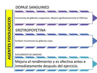 DOPAJE SANGUINEO
Incremento de glóbulos sanguíneos. Mejora significativamente el VO2max
EROTROPOYETINA
También incrementa los glóbulos rojos.
SUPLEMENTO DE OXIGENO
Mejora el rendimiento y es efectiva antes e
inmediatamente después del ejercicio.
AGENTESFISIOLOGICOS
 