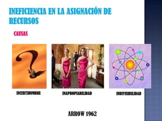 INEFICIENCIA EN LA ASIGNACIÓN DE RECURSOSCAUSASINCERTIDUMBREINAPROPIABILIDADINDIVISIBILIDADARROW 1962