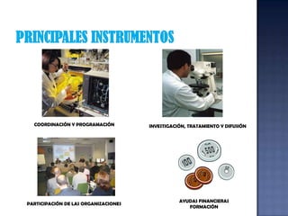 PRINCIPALES INSTRUMENTOSCOORDINACIÓN Y PROGRAMACIÓNINVESTIGACIÓN, TRATAMIENTO Y DIFUSIÓNAYUDAS FINANCIERASFORMACIÓNPARTICIPACIÓN DE LAS ORGANIZACIONES