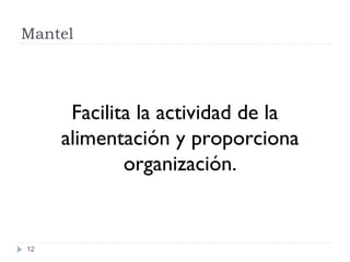 Mantel
12
Facilita la actividad de la
alimentación y proporciona
organización.
 