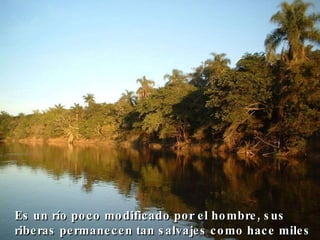 Es un río poco modificado por el hombre, sus riberas permanecen tan salvajes como hace miles de años… 