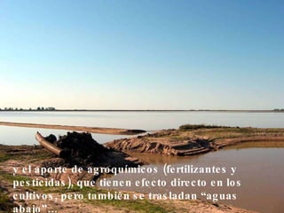 y el aporte de agroquímicos (fertilizantes y pesticidas), que tienen efecto directo en los cultivos, pero también se trasladan “aguas abajo”… 
