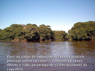 Pues un grupo de empresas del sector agrícola pretende cortar su curso  y convertir su cauce, riberas y valle, en un lago de 11.000 hectáreas de superficie.   