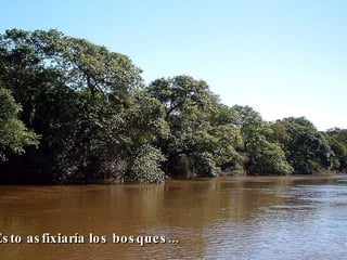 Esto asfixiaría los bosques...   
