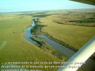 …  y reemplazando lo que sería un filtro para los propios desperdicios de la industria, por un enorme depósito acumulador de los mismos.   