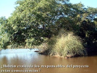 ¿Habrán evaluado los responsables del proyecto estas consecuencias?   