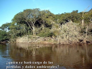 ¿quién se hará cargo de las pérdidas y daños ambientales? 