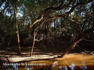 Ahora que lo conocemos…   