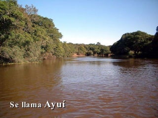 Se llama  Ayuí 