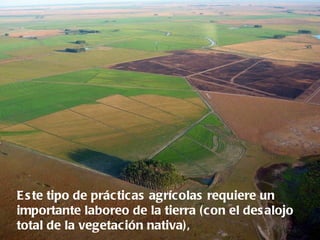 E s te tipo de prácticas agrícolas requiere un
importante laboreo de la tierra (con el des alojo
total de la vegetación nativa),
 