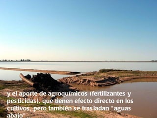 y el aporte de agroquímicos (fertilizantes y
pes ticidas ), que tienen efecto directo en los
cultivos , pero también s e tras ladan “ aguas
abajo” …
 