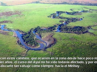 con es tos c ambios , que ocurren en la zona des de hace poco m
iez años , el curs o del A yuí no ha s ido todavía afectado, y por es
 dis curre tan s alvaje como s iempre, hacia el Miriñay…
 