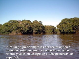 Pues un grupo de empres as del s ec tor agríc ola
pretende c ortar s u c urs o y c onvertir s u c auc e,
riberas y valle, en un lago de 11.000 hec táreas de
s uperficie.
 
