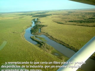 … y reemplazando lo que s ería un filtro para los propios
des perdicios de la indus tria, por un enorme depós ito
 