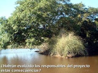 ¿ Habrán evaluado los res pons ables del proyecto
es tas cons ecuencias ?
 