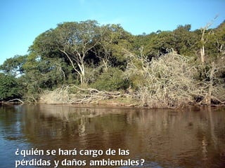 ¿ quién s e hará cargo de las
pérdidas y daños ambientales ?
 