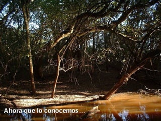 A hora que lo conocemos …
 