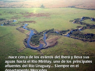 …nace cerca de los es teros del Iberá y lleva s us
aguas has ta el Río Miriñay, uno de los principales
afluentes del Río Uruguay... S iempre en el
 