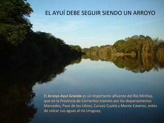 El  Arroyo Ayuí Grande  es un importante afluente del Río Miriñay, que en la Provincia de Corrientes transita por los departamentos Mercedes, Paso de los Libres, Curuzú Cuatiá y Monte Caseros, antes de volcar sus aguas al río Uruguay.  EL AYUÍ DEBE SEGUIR SIENDO UN ARROYO 