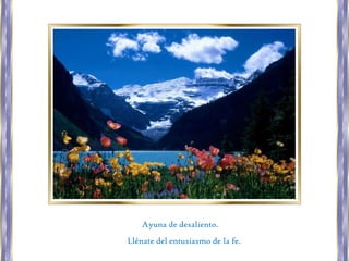 Ayuna de desaliento.
Llénate del entusiasmo de la fe.
 