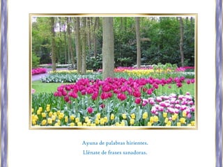 Ayuna de palabras hirientes.
Llénate de frases sanadoras.
 