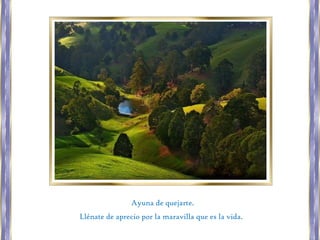 Ayuna de quejarte.
Llénate de aprecio por la maravilla que es la vida.
 