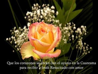 Que los corazones se abran con el ayuno en la Cuaresma
        para recibir a Jesús Resucitado con amor
 