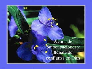 Ayuna de
preocupaciones y
    llénate de
confianza en Dios
 