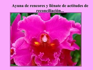 Ayuna de rencores y llénate de actitudes de reconciliación... 