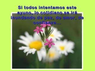 Si todos intentamos este ayuno, lo cotidiano se irá inundando de paz, de amor, de confianza... 