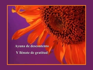 Ayuna de descontento Y llénate de gratitud 