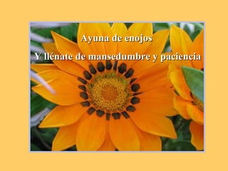 Ayuna de enojos  Y llénate de mansedumbre y paciencia 