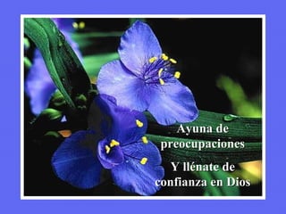 Ayuna de preocupaciones Y llénate de confianza en Dios 