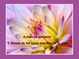 Ayuna de quejarte  Y llénate de las cosas sencillas de la vida 