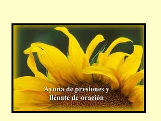 Ayuna de presiones y llénate de oración 