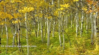 www.vitanoblepowerpoints.net 16
13. Limpiar lo que usas en casa.13. Limpiar lo que usas en casa.
 