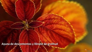 www.vitanoblepowerpoints.net 21
Ayuna de descontentos y llénate de gratitudAyuna de descontentos y llénate de gratitud
 