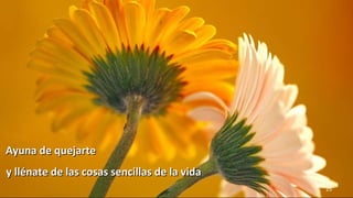 www.vitanoblepowerpoints.net 25
Ayuna de quejarteAyuna de quejarte
y llénate de las cosas sencillas de la viday llénate de las cosas sencillas de la vida
 