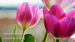www.vitanoblepowerpoints.net 26
Ayuna de presionesAyuna de presiones
y llénate de oracióny llénate de oración
 